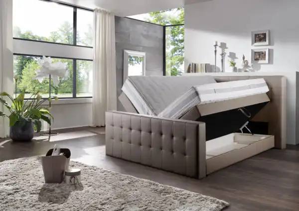 Cynthia BK, 8944 I, Funktion