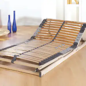 f.a.n. Lattenrost Dreamflex Premium