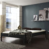 Iris 792.00-095-v5