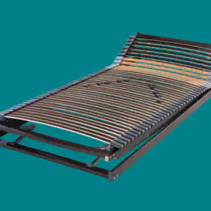 f.a.n. Elastik Flex Plus - mit 42 Leisten