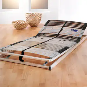 f.a.n. Punktoflex Ergo  - auch mit Motor