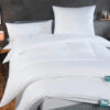 fan First Class Ambiente 300dpi